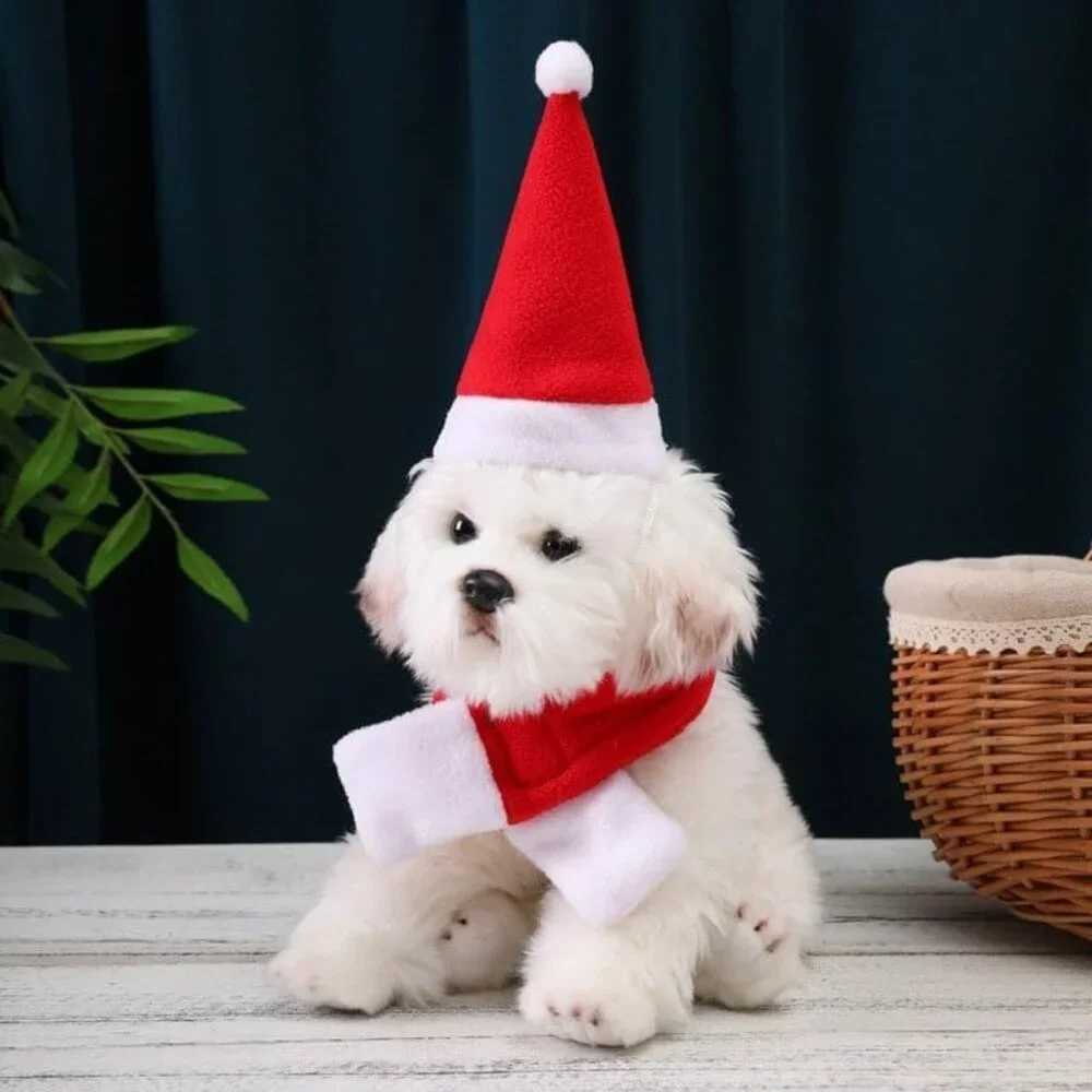 Pet Santa Hat with Scarf – Christmas Costume for Cats, Small Dogs, Rabbit, Red